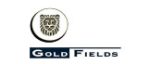 Gold Fields