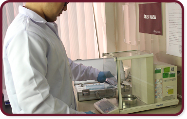 Laboratorio de Masa y Volumen
